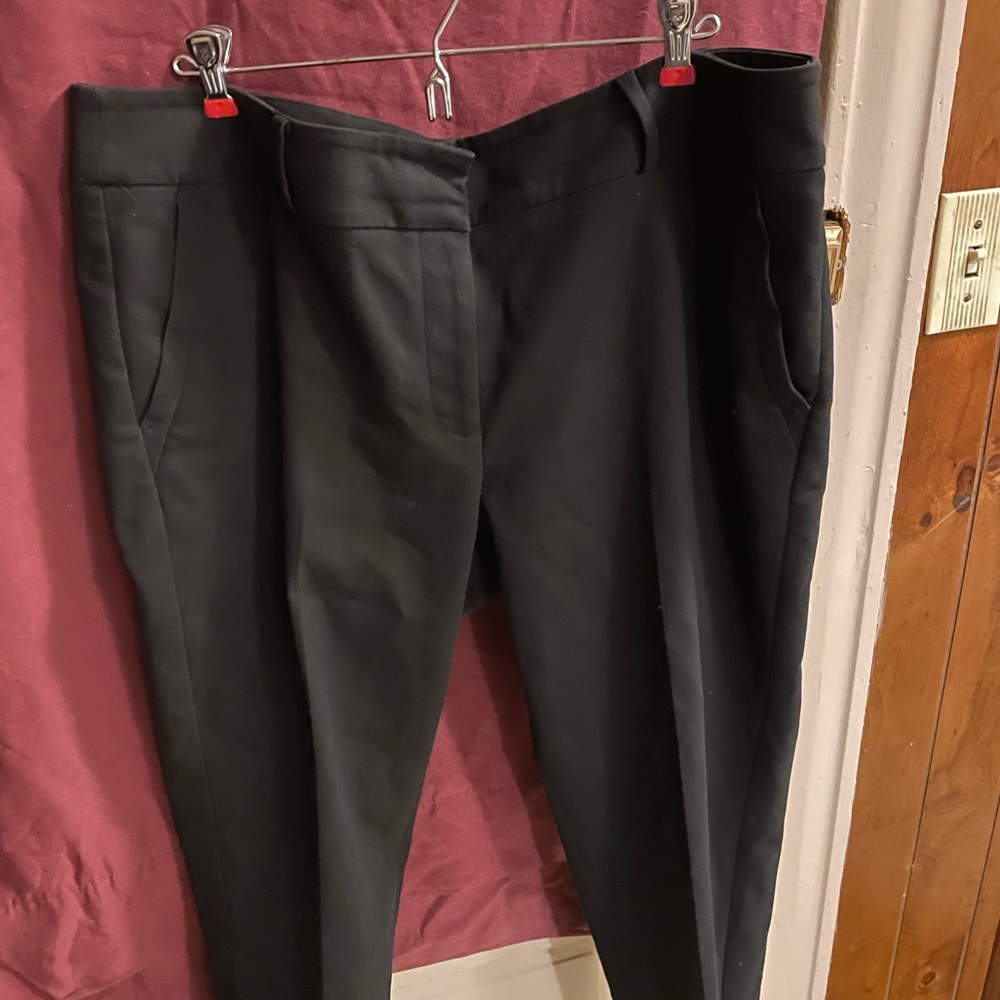 Loft dress pants stretch ankle fit nwot